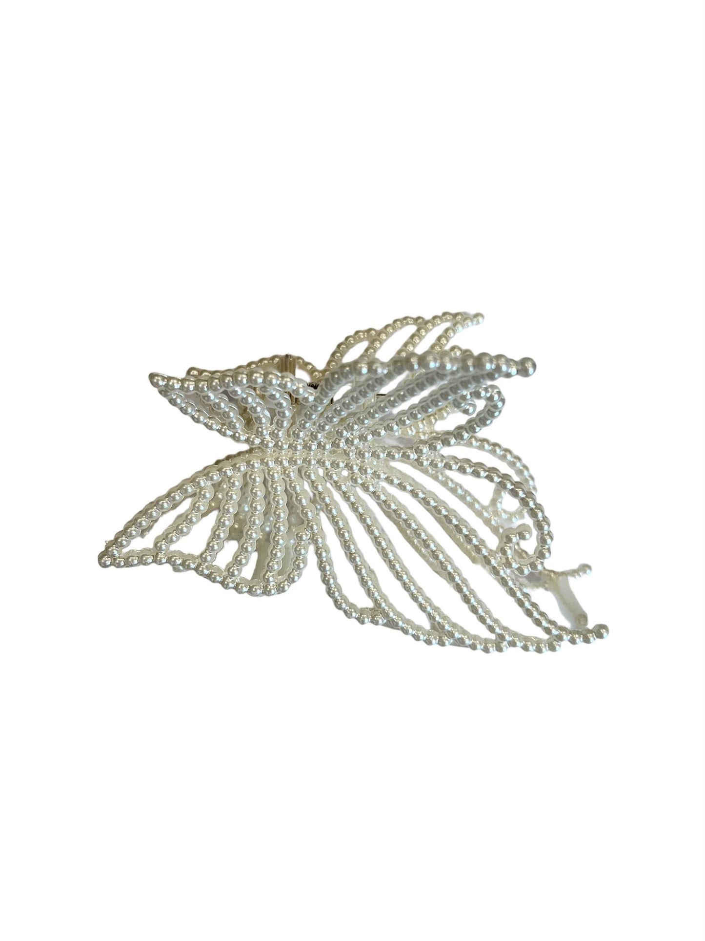 Pearl Hair Claw Butterfly