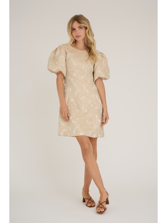 Ari dress