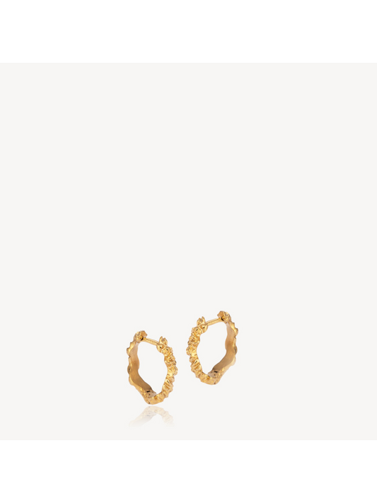 Loops - creoles