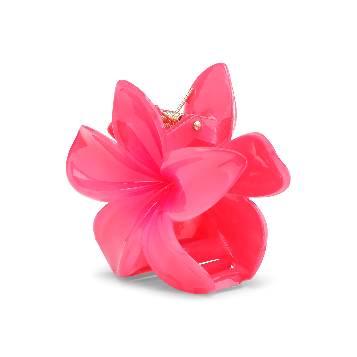 Plumeria bella big