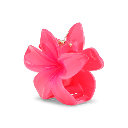 Plumeria bella big