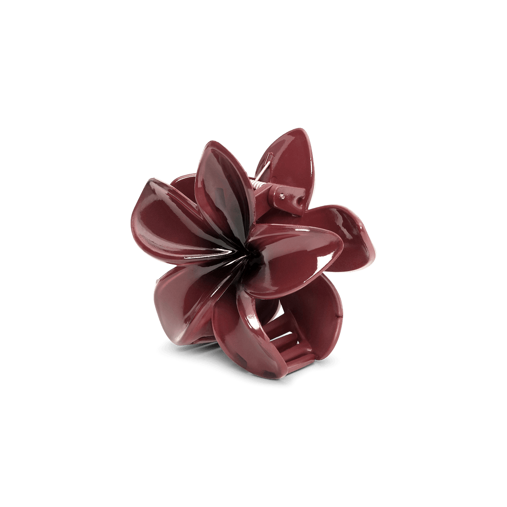 Plumeria berry big - novalieshop