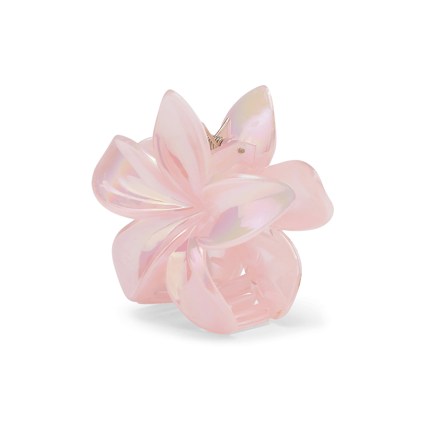 Plumeria pastel big - novalieshop