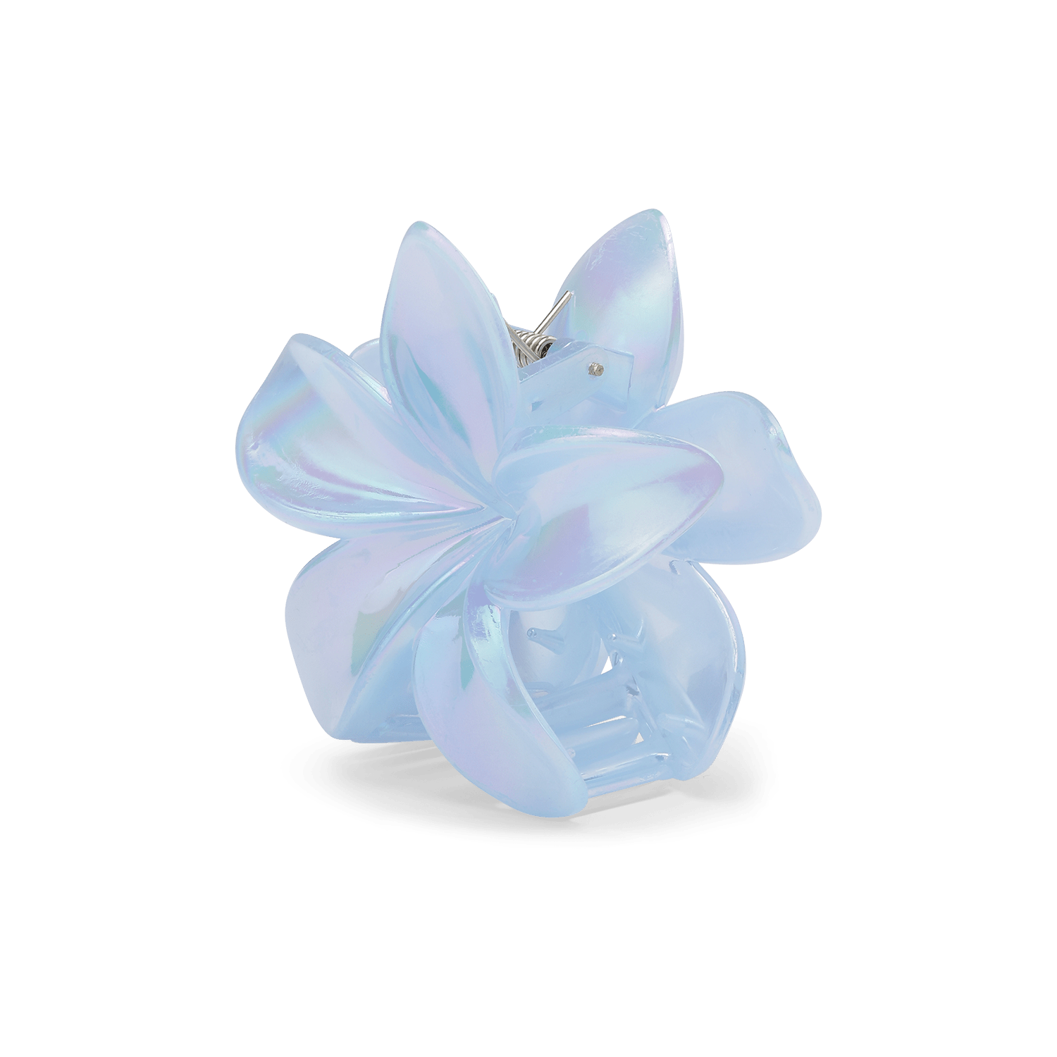 Plumeria pastel big - novalieshop