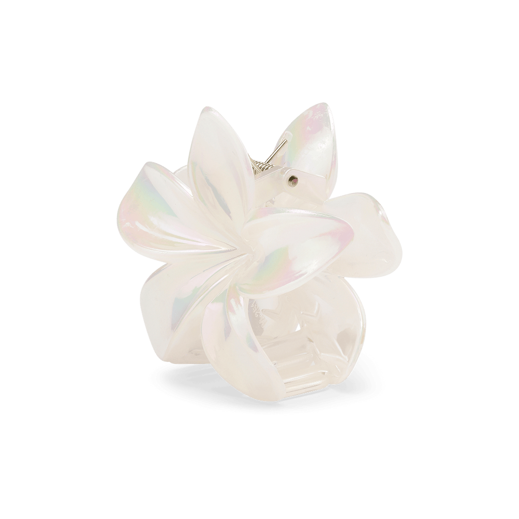 Plumeria pastel big - novalieshop