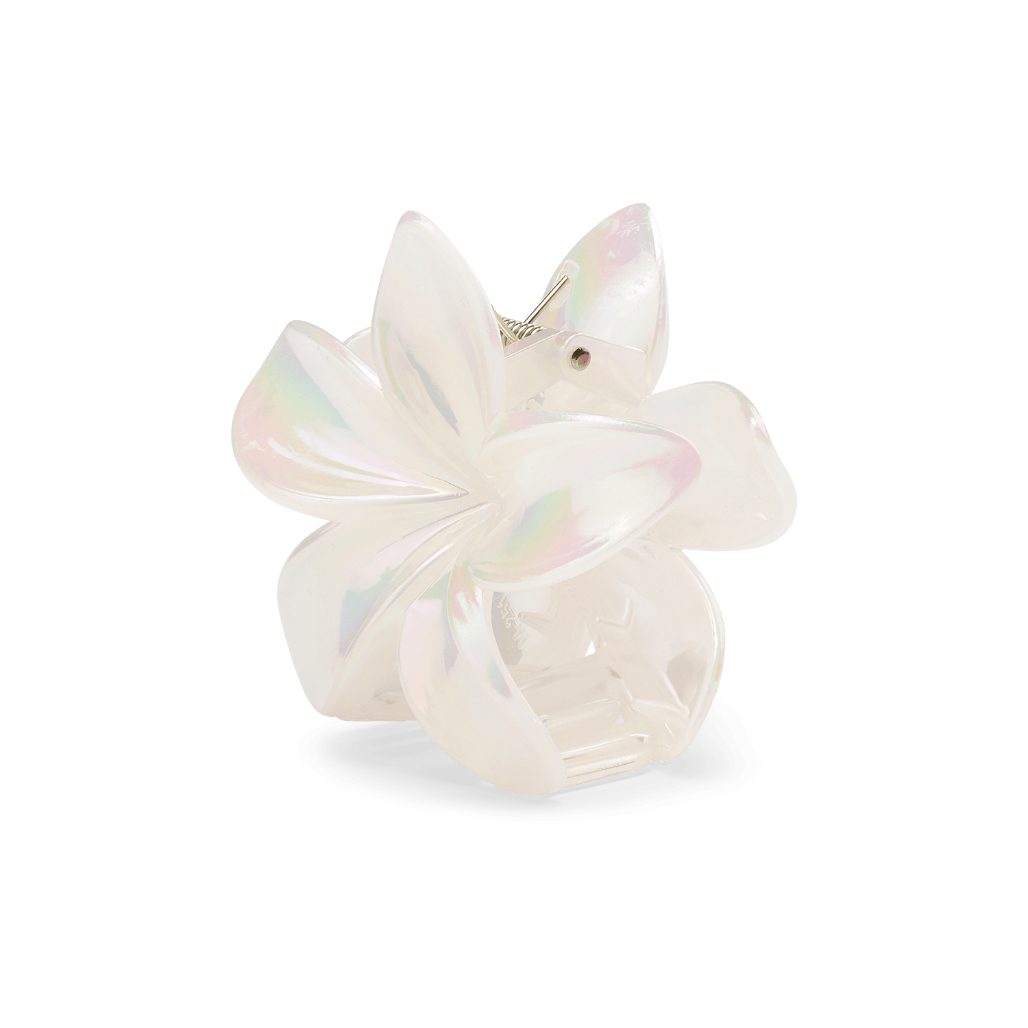 Plumeria pastel big - novalieshop